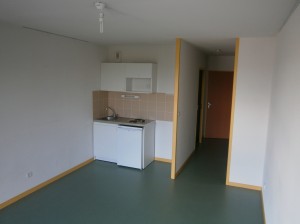 BEAU STUDIO 231 rue A DUTREIX , 25 m², proche IUT et Fac de Sciences, BEGIP