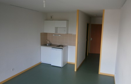 Beau studio 231 rue A Dutreix, 25 m², proche IUT et Fac de Sciences, BEGIP