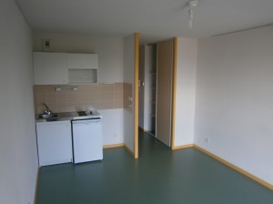 Beau studio 231 rue A Dutreix, 25 m², proche IUT et Fac de Sciences, BEGIP