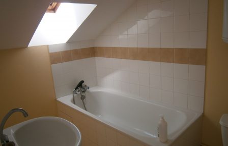 salle de bains studio étudiant Limoges Centre ville