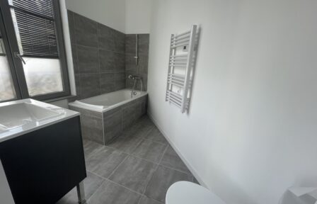 salle de bains Appartement T2 avenue G Dumas Limoges