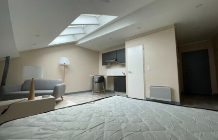 pièce de vie meublée