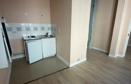 Pièce de vie + kitchnette