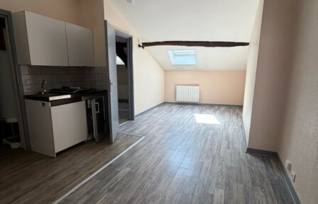 Salle de vie + kitchenette